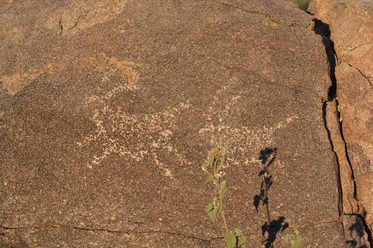 petroglyphs